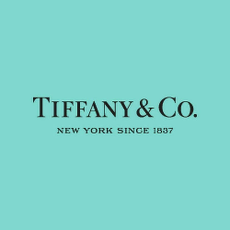Tiffany & Co ETOILE Diamond Rotating Ball Pendant Necklace 18kt White Gold