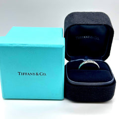 TIFFANY & CO Full Circle Channel Set 1.80 tcw 4 mm Platinum Wedding Band