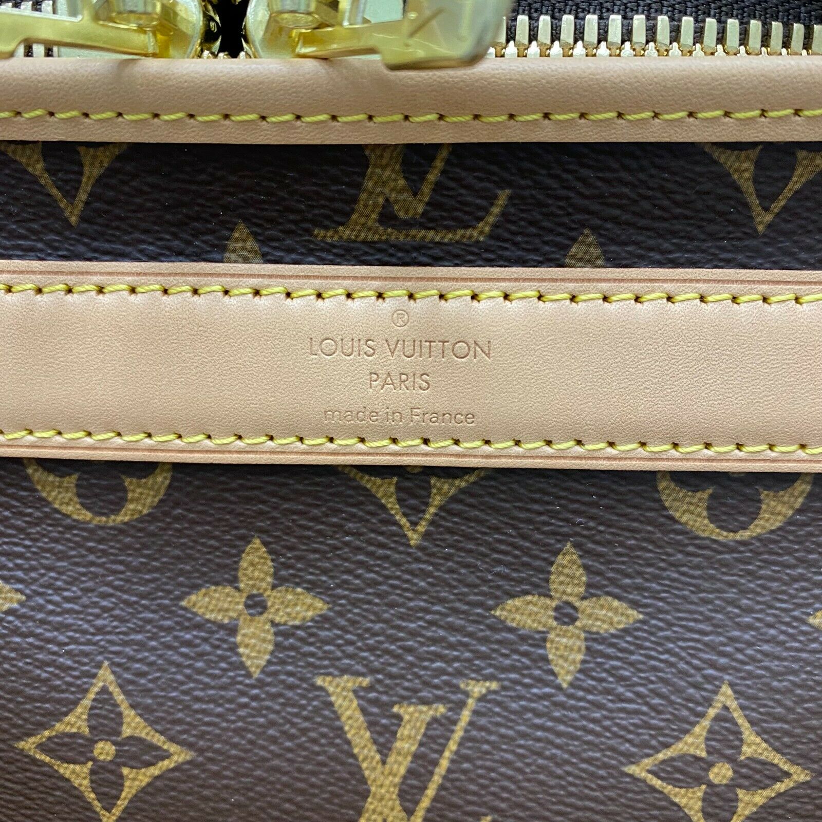 Louis Vuitton Sac Chien 40 Monogram Dog Pet Carrier Handbag at 1stDibs
